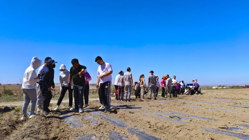 走进田园 播种希望|维多利亚老品牌vic物流春种团建活动