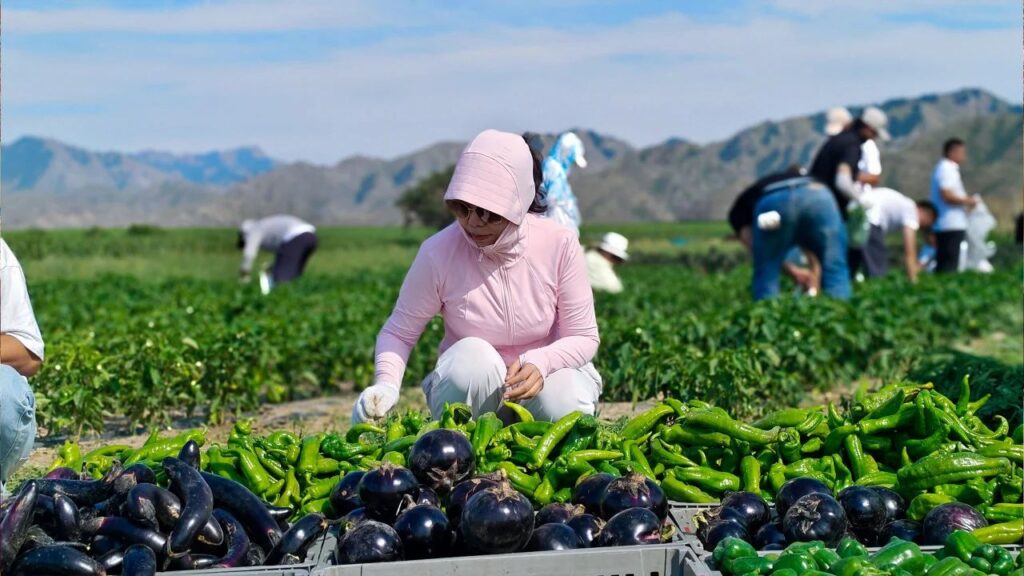 夏日最美群像 | 维多利亚老品牌vic物流2024年中团建特辑